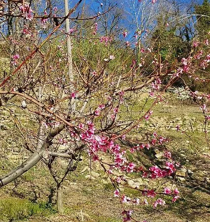 Langhe Paradisot Niella Belbo