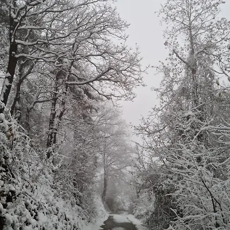 Feriehus Langhe Paradisot